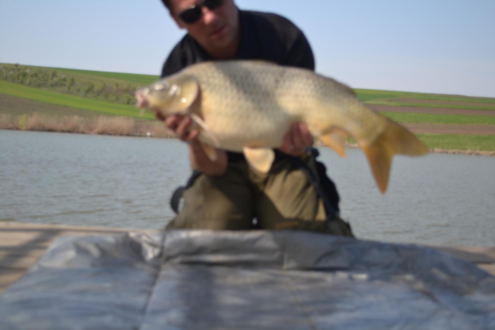 Magura 9 Aprilie - 201404043341.JPG